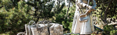 Nasta-harjoitus Haminassa TÄYNNÄ